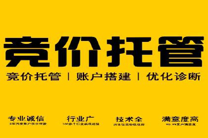 竞价广告的投放技巧与误区：从失败到成功的转变案例